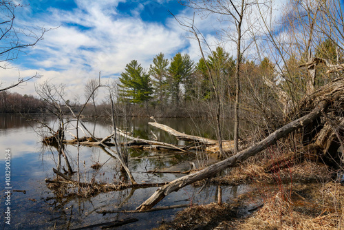 Mud Lake Ottawa photo