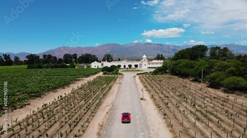 A car approaching winery. Aerial view
