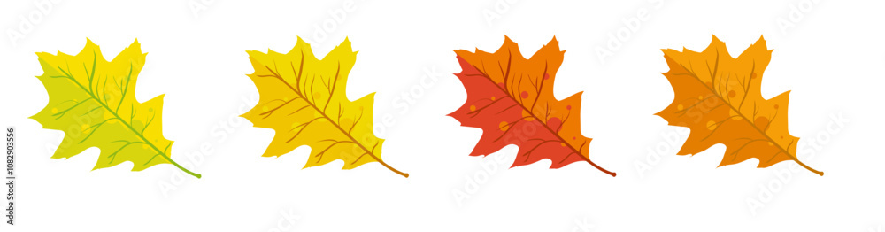 Autumn oak leaves yellow red and orange - vector illustration Autumn oak leaves yellow red and orange - vector illustration