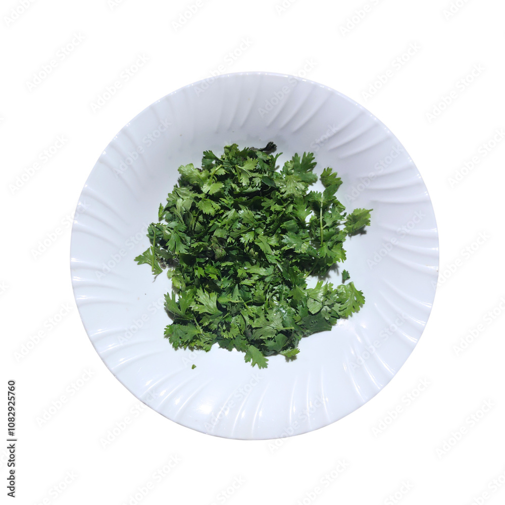 Coriander is placed on a plate Coriander is placed on a plate