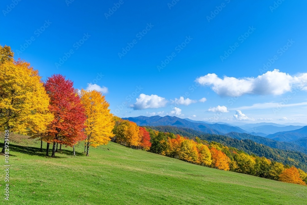 A diverse landscape and a rich history define the majestic Georgia A diverse landscape and a rich history define the majestic Georgia