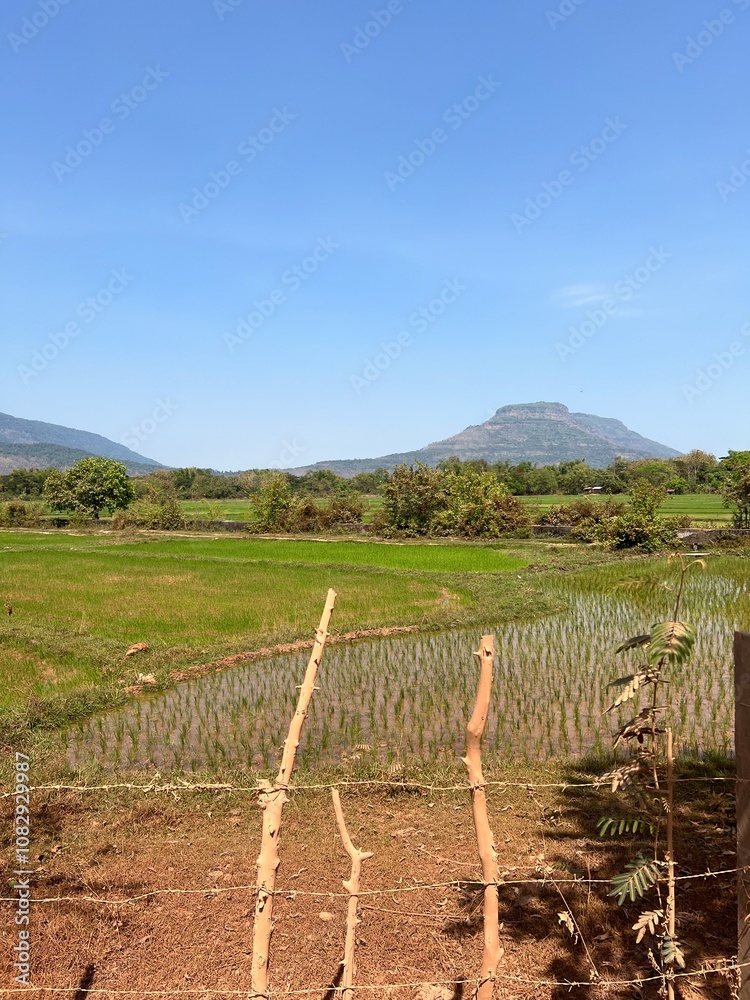 Fototapeta premium Laos