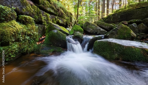 waterfall in the forest