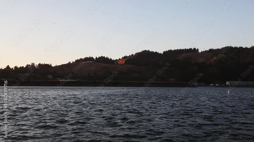 Handheld Rogue River Birds Flying In Blue Sky With Hills And Trees
Handheld Rogue River Birds Flying In Blue Sky With Hills And Trees