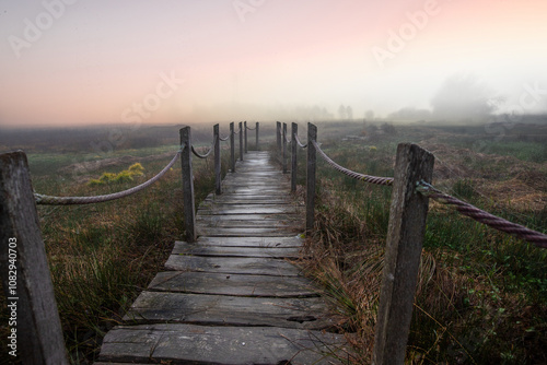 A wooden walkway or pier leads through a nature reserve in thick fog. Landscape shot in the middle of nature in autumn. Baldenau castle ruins, Morbach, Hunsrück, Rhineland Palatinate