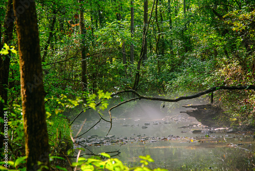 early morning fog over a pond