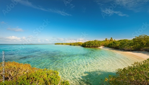 Tropical Coastal Lagoon With Calm Turquoise Waters, Surrounded by Mangroves and Sandy Shores, Under the Bright Midday Sun and Clear Blue Skies in a Remote Island Setting