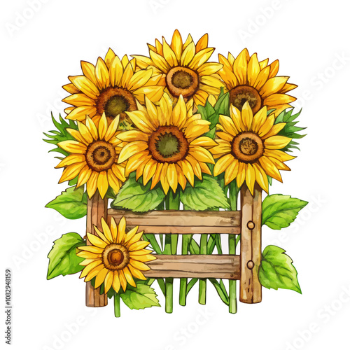 Watercolor sunflower rustic country decoration vector illustration (3)