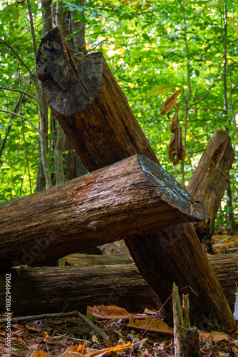 Crossed Wood Logs Propped Against Eachother