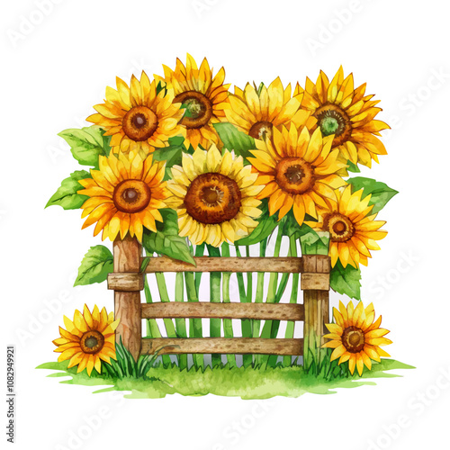 Watercolor sunflower rustic country decoration vector illustration (18)