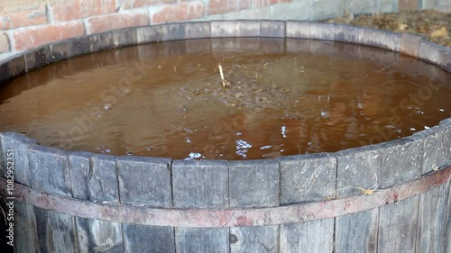 Crushed agave ferments in small vats, preparing for mezcal production in oaxaca, mexico. Traditional methods are used