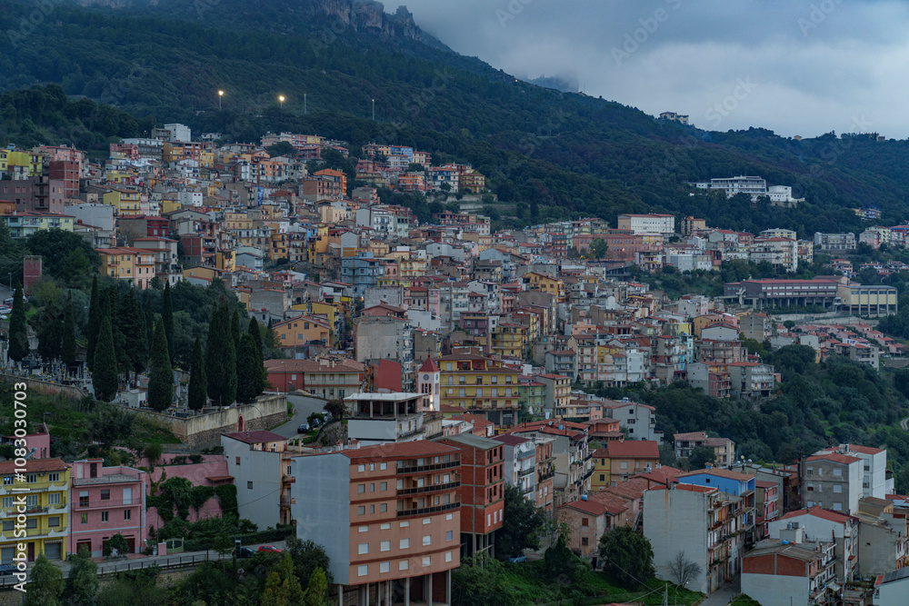 Fototapeta premium A view of a very densely built-up town, hidden in the middle of a forest.