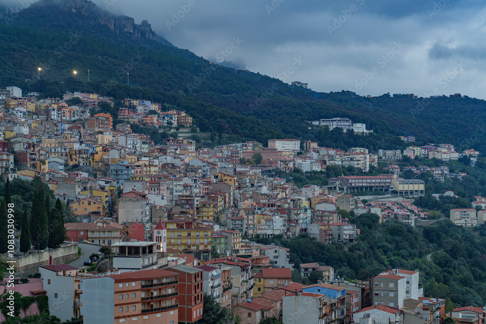 Fototapeta premium A view of a very densely built-up town, hidden in the middle of a forest.