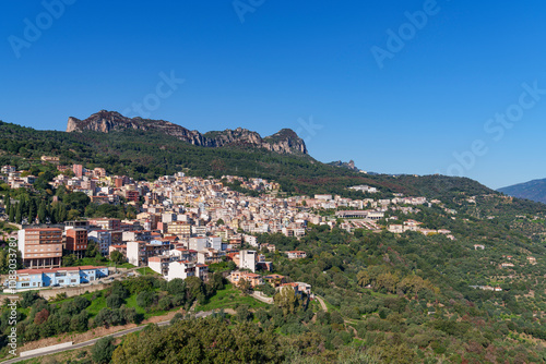 A view of a very densely built-up town, hidden in the middle of a forest