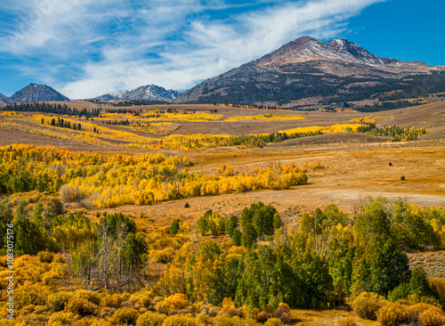 Fall Color Surrounding  Dunderberg Peak in the Hoover Wilderness of Inyo National Forest Near Bridgeport, California, USA photo