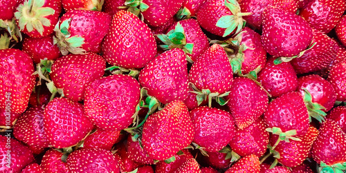 background of fresh red farm organic strawberries close up