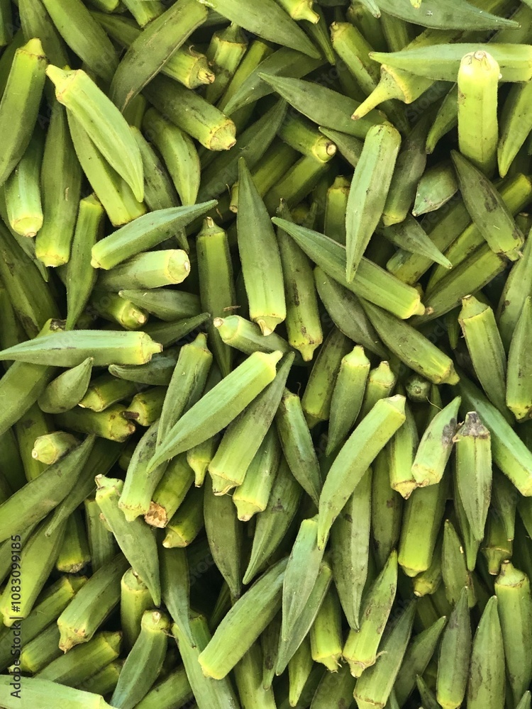 Fototapeta premium Photo of green okra on the market, Cyprus