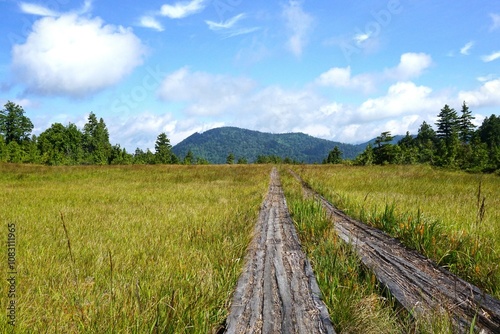 燧ヶ岳の木道 photo