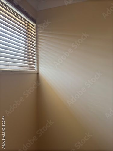 Sunshine streaming through wooden blinds