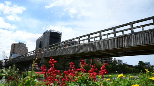 蝶が舞う秋の梅ノ橋（石川県金沢市, 2024年9月） photo