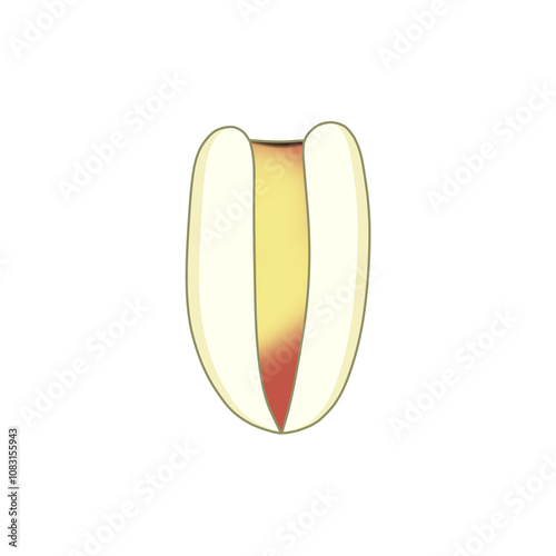 ハトムギの種子（ヨクイニン）