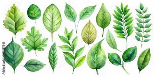Serene watercolor foliage collection with assorted green leaves, watercolor, foliage, collection, green, leaves, botanical