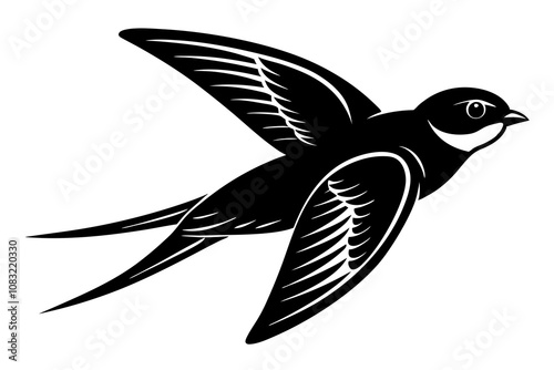 beautiful swiftlet bird vector art illustration