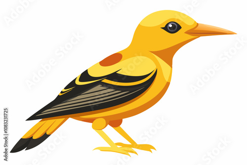 cute golden oriole juvenile isolated on a white background vector illustration