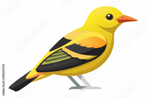 cute golden oriole juvenile isolated on a white background vector illustration