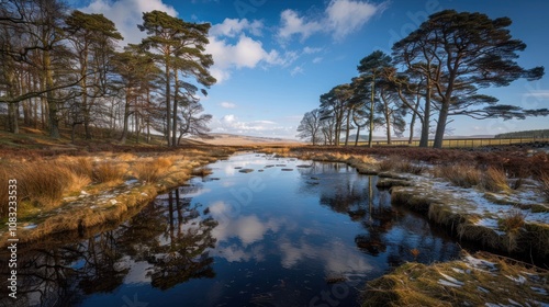 A tranquil stream flows through a wintery landscape, with tall pine trees lining its banks. The water reflects the blue sky and white clouds above, creating a mirror-like surface.