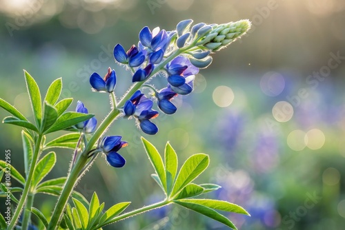 Vibrant Bluebonnet Flower Watercolor Illustration with Bokeh Effect for Botanical Designs and Nature Themes