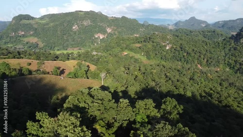 Beautiful view of the forest in the valley in the afternoon in the northern of Thailand