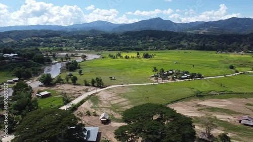 Bird's eye view of green rice fields and long surrounded by rivers in northern Thailand