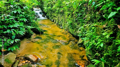 Walterfall with stream , tree, fern ,moss at the rain forest landscape. photo