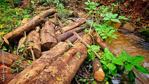 log tree in walterfall with stream at the rain forest landscape. photo