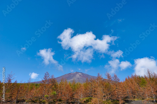 青空と紅葉が彩る富士山の秋景