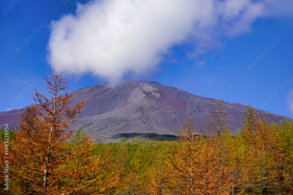 青空と紅葉が彩る富士山の秋景