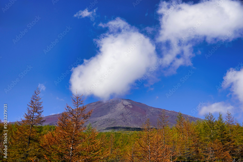 青空と紅葉が彩る富士山の秋景