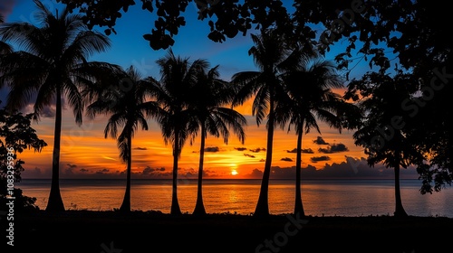 南国の夕方と夕日