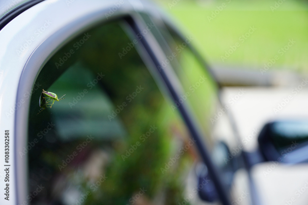 車窓にとまる昆虫と自然の融合