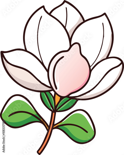 White magnolia flower with green leaves, Vector illustration of a blooming white magnolia flower with soft pink accents and green leaves, featuring a delicate and elegant design.
