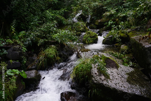 増水した沢 photo