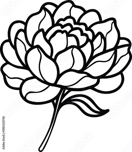 Black and white peony flower line drawing, Elegant black and white line art illustration of a peony flower with layered petals and a single leaf, featuring a stylized design.

