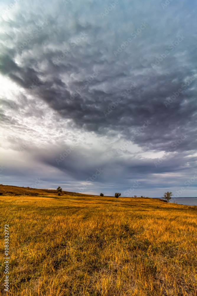 Obraz premium Panorama of a yellow fall field in overcast weather.