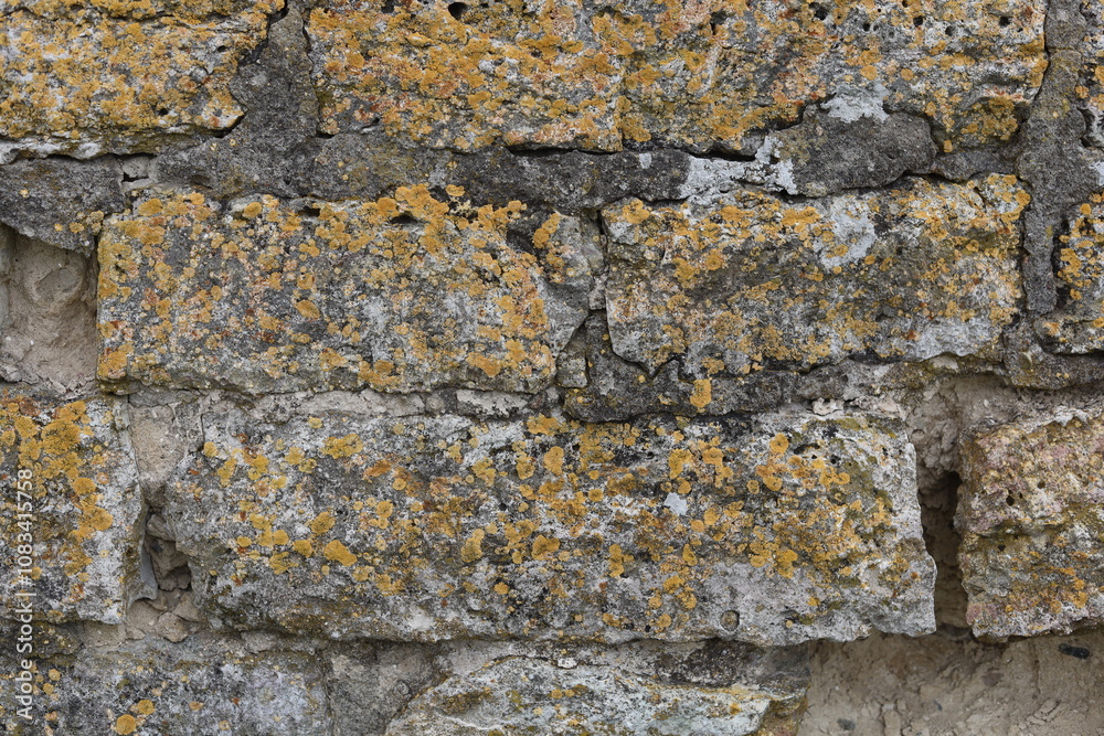 Fototapeta premium The texture of the destroyed brickwork of the Middle Ages. Preserved fortress walls.