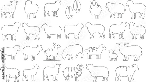 Sheep line illustration featuring diverse sheep outlines, hoof patterns, and lambs in minimalist vector style. Perfect for design, education, farming materials, and livestock related graphics