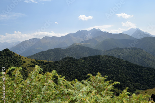 beautiful mountain summer landscape with rocks