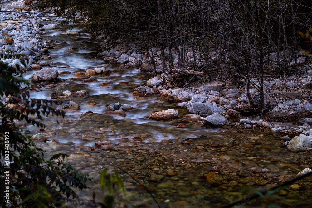 Fototapeta premium water flowing into the forest