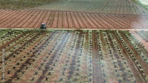 TRACTOR RECOGIENDO LA PODA Y QUEMANDOLA