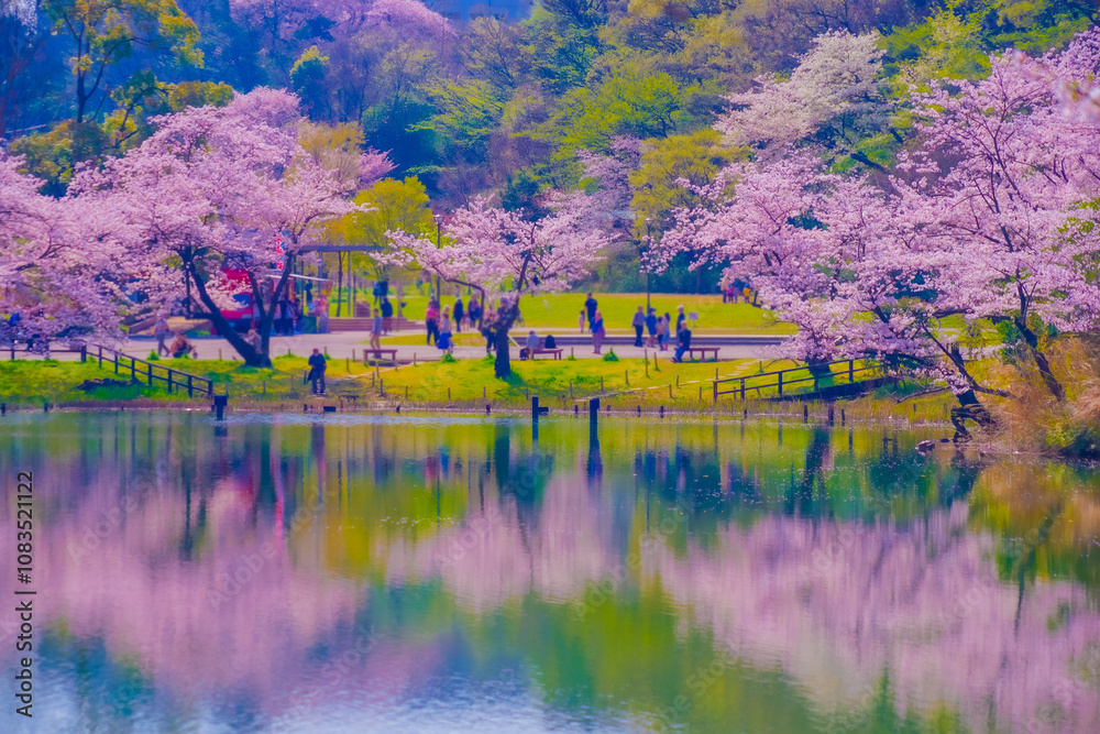 桜が咲く池の風景